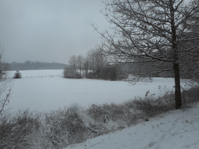 Schneeschauer und die Vb-Wetterlage sorgen für Winter im Februar.